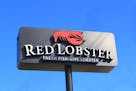 Analysts worry about a looming $355 million loan Red Lobster has due next summer. (Dreamstime/TNS)