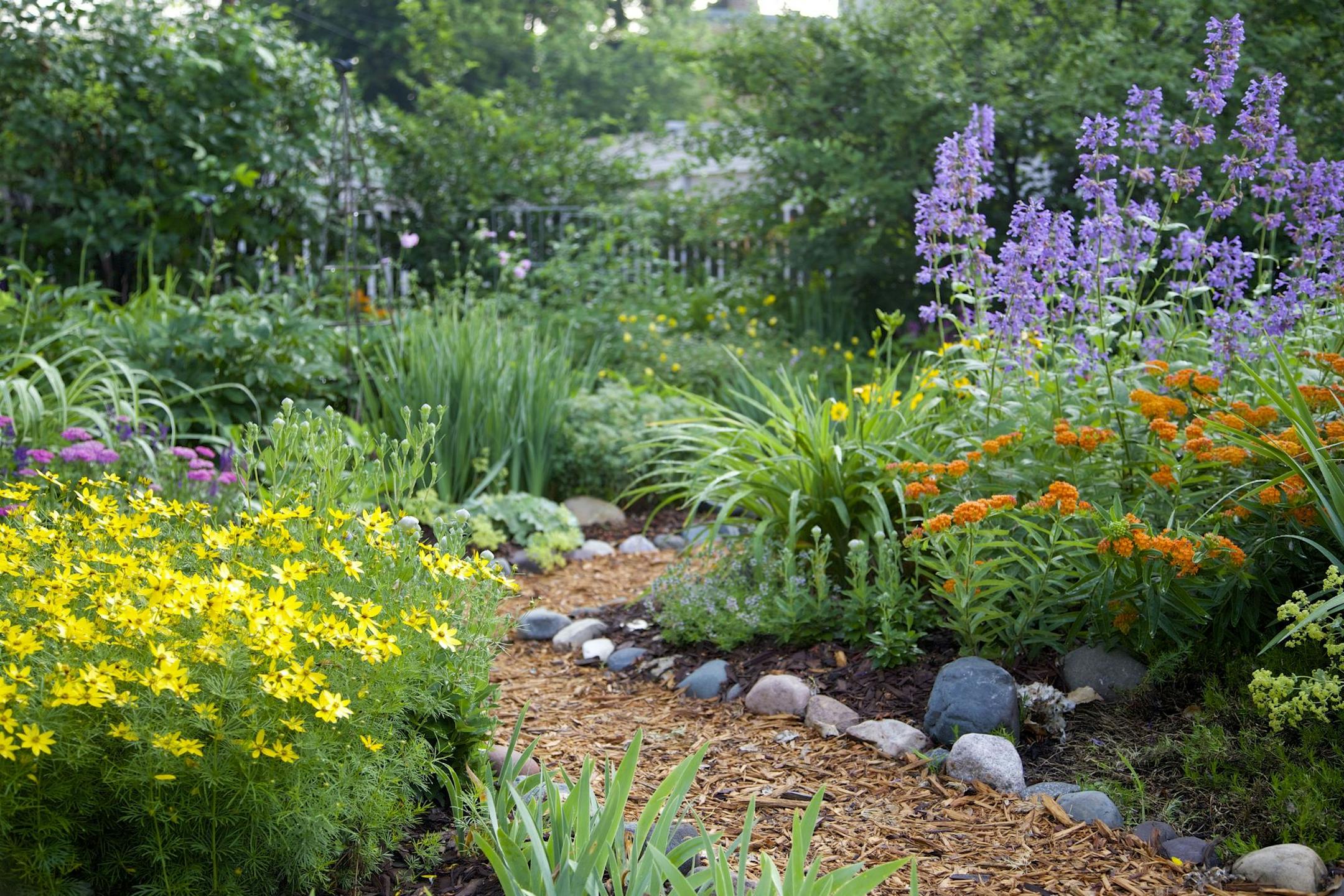 Stagger bloom times throughout the growing season.