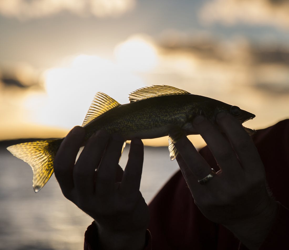 Ice Fishing - Twin Pines Resort Mille Lacs