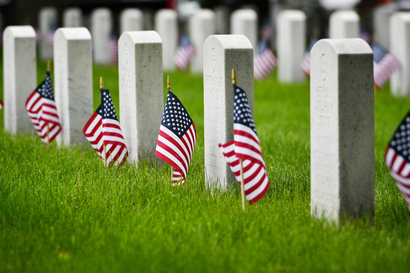 Around 3,000 volunteers placed around 50,000 flags at Fort Snelling cemetery on Memorial Day as part of Flags for Fort Snelling. ] GLEN STUBBE &#x2022; glen.stubbe@startribune.com Monday May 29, 2017. Around 3,000 volunteers placed around 50,000 flags at Fort Snelling cemetery on Memorial Day as part of Flags for Fort Snelling, a non profit effort by Joanne Malmstedt, who said Last year the group had 10,000 flags and the year before, around 3,000 flags. Joanne's goal for Memorial Day 2018 is to