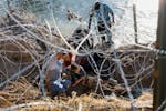 A family desperately burrows through razor wire in an effort to cross the U.S.-Mexico border along the Rio Grande in Eagle Pass, Texas.