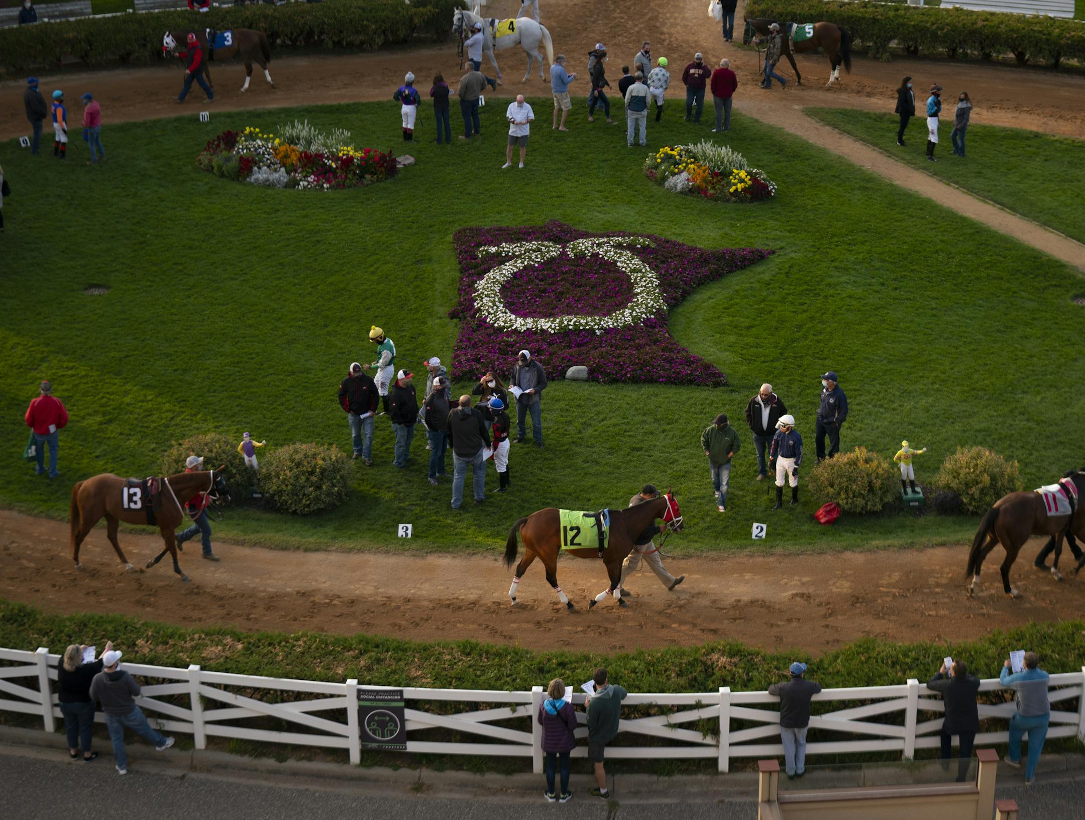 Horses were paraded around the paddock area before the sixth race Thursday night. ] JEFF WHEELER • jeff.wheeler@startribune.com The final day of the live horse racing season at Canterbury Park was Thursday night, September 17, 2020 in Shakopee,