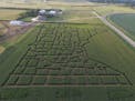 Seth and Randy Spronk of Pipestone County carved this cornfield into a map of Minnesota and all its counties for the upcoming Rock River Pumpkin Festi