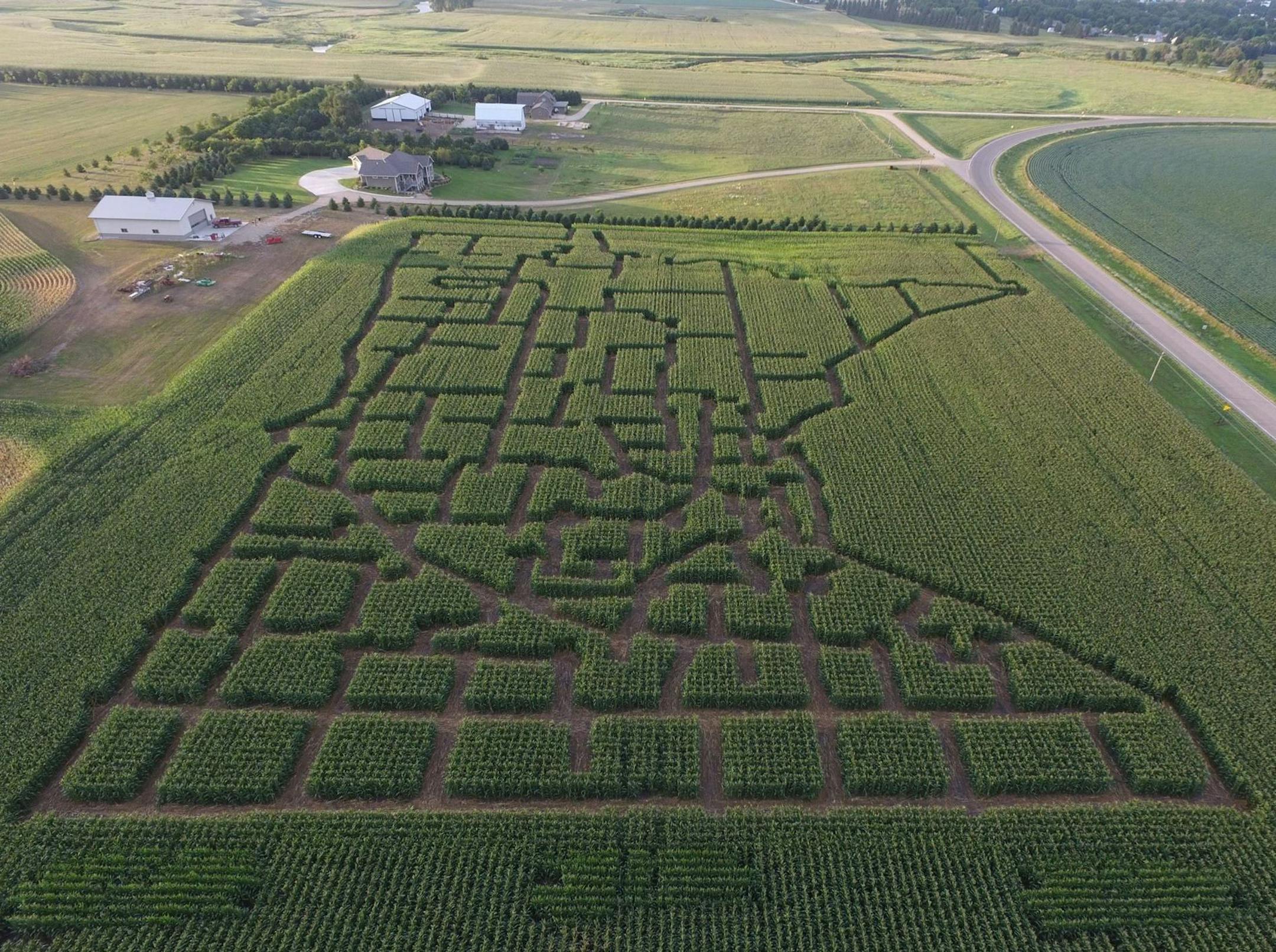 Seth and Randy Spronk of Pipestone County carved this cornfield into a map of Minnesota and all its counties for the upcoming Rock River Pumpkin Festival.
