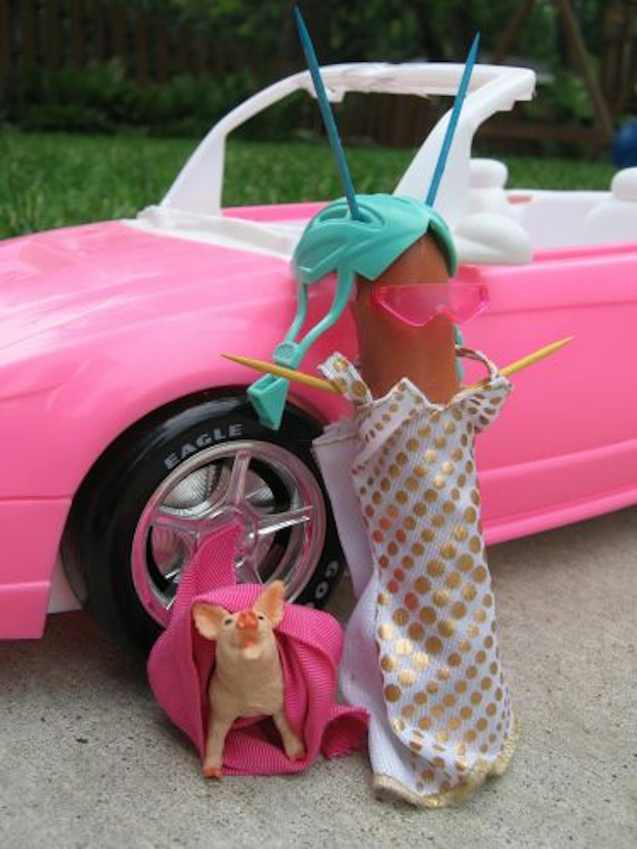 Suzie the Alien and Her Pet Pig Wilbur "(or is it 'cousin'?) by Colin Mason, 7; Joia Graham, 8, and Marlo Graham, 9, of St. Paul