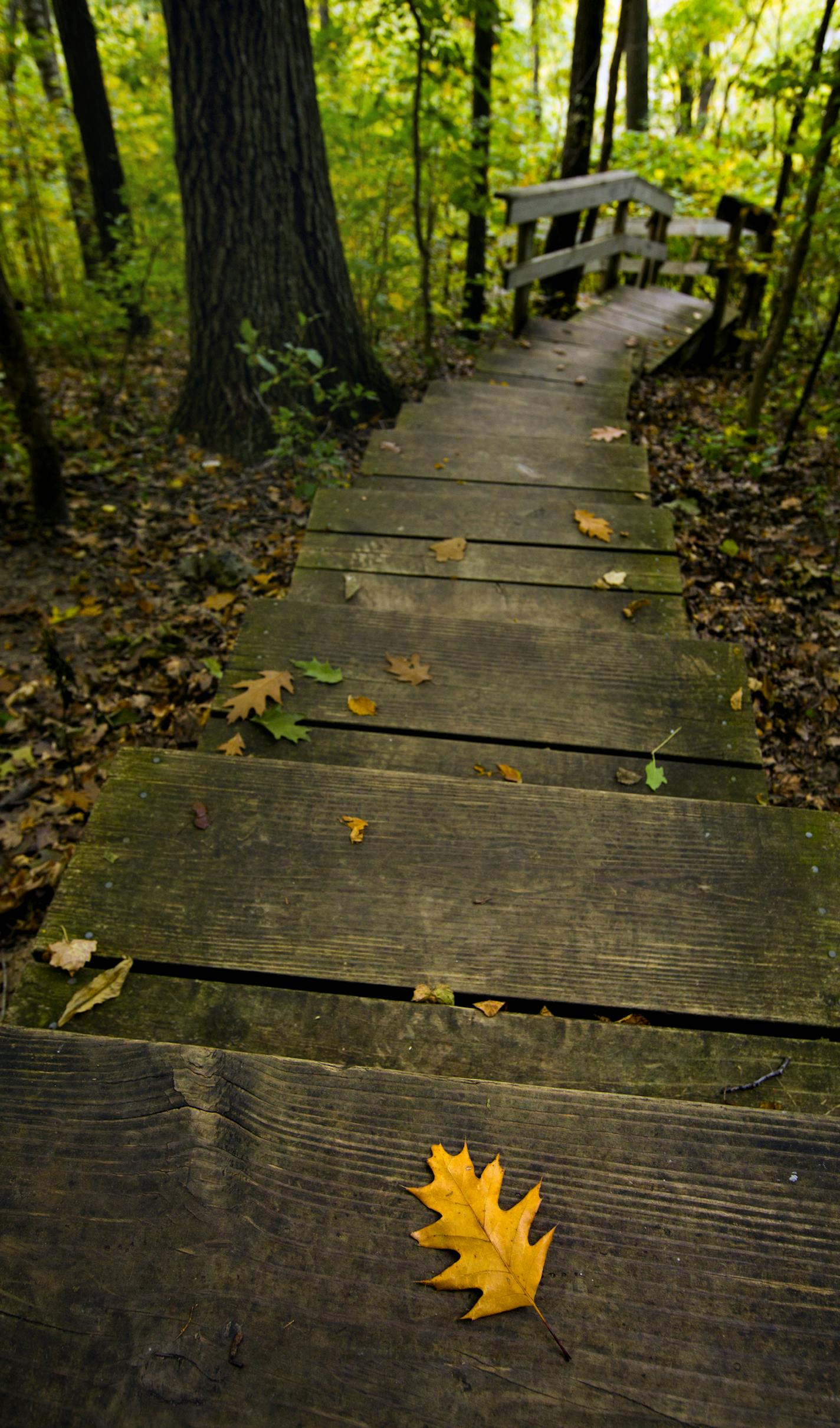 To visit bluff country you will encounter many steep climbs and countless steps the get the best views. This 640 step climb leads to the top of the Elba Fire Tower and a spectacular view from the top. ] Minnesota State of Wonders travel Project - South East Minnesota Bluff Country. BRIAN PETERSON &#x2022; brian.peterson@startribune.com Elba, MN 10/13/14