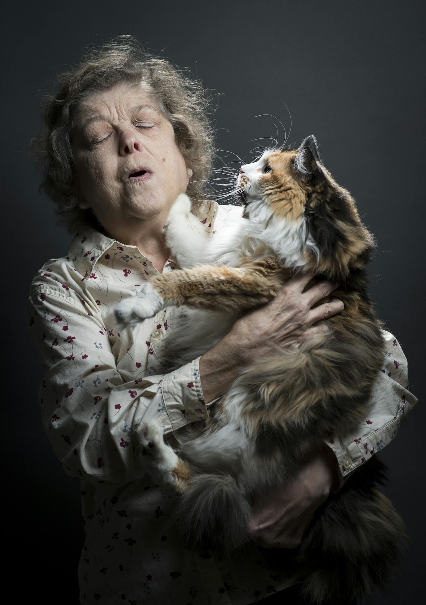 Gypsy Rose, a 7-year-old tortoise-shell and white long-haired show cat, gets frisky with one of her owners, Gayle Long, while having their photo taken Tuesday afternoon. ] (Aaron Lavinsky | StarTribune) Gayle and Dave Long show their two cats, Gypsy Rose and Romeo, for a preview feature leading up to the Saintly City Cat Show. They were photographed in their home Tuesday, Jan. 14, 2015.