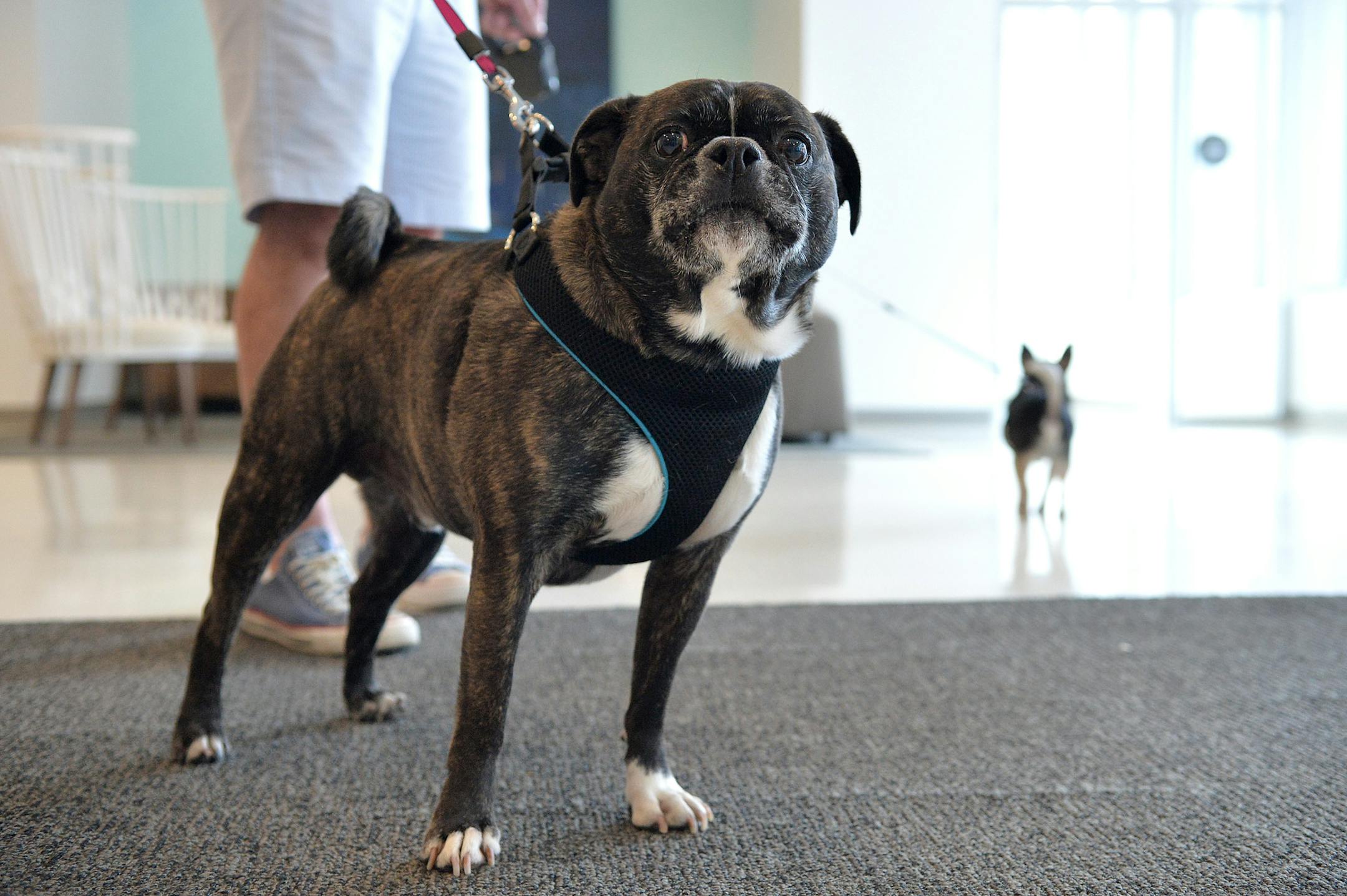 He looks friendly, but you're not in the mood.