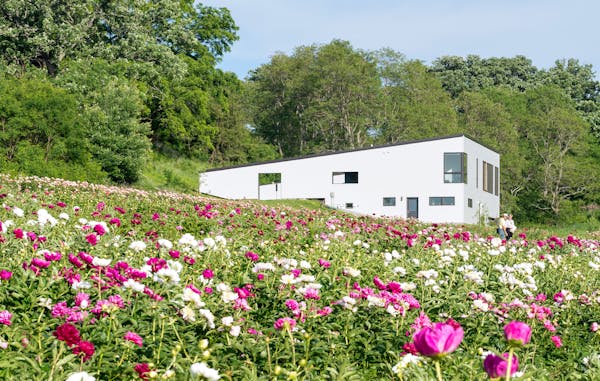 54-acre Minnesota peony farm with 'beautiful patchwork of color' lists for $1.495M
