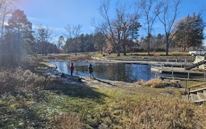 Anglers fish on the Sucker Lake channel, where swans congregate. Ramsey County Parks and Recreation officials say swans are ingesting lead tackle and