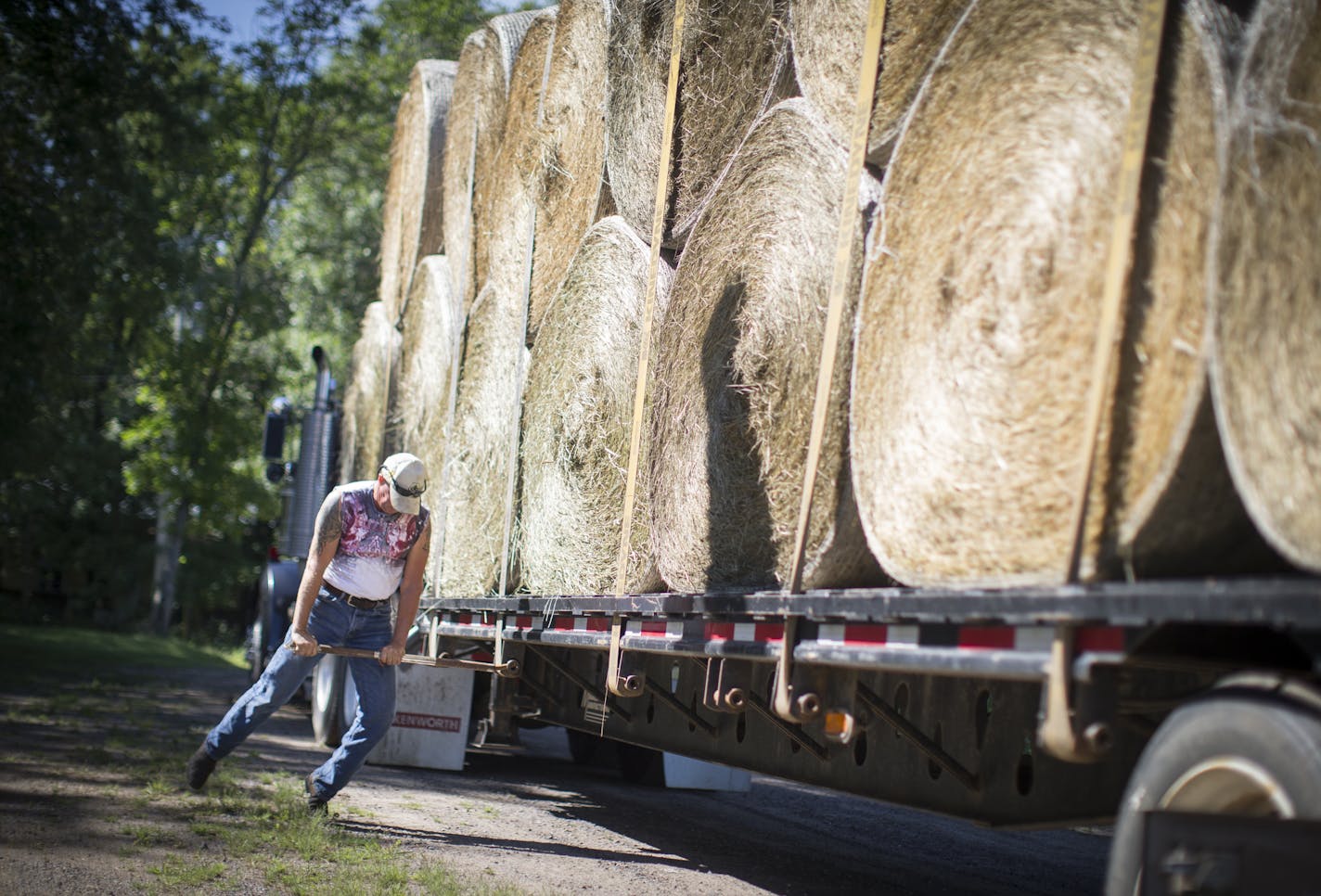 Keith Johnson, loaded up bails of hail at his farm in Centre City, Minn., on Wednesday, August 20, 2014. ] RENEE JONES SCHNEIDER &#x201a;&#xc4;&#xa2; reneejones@startribune.com