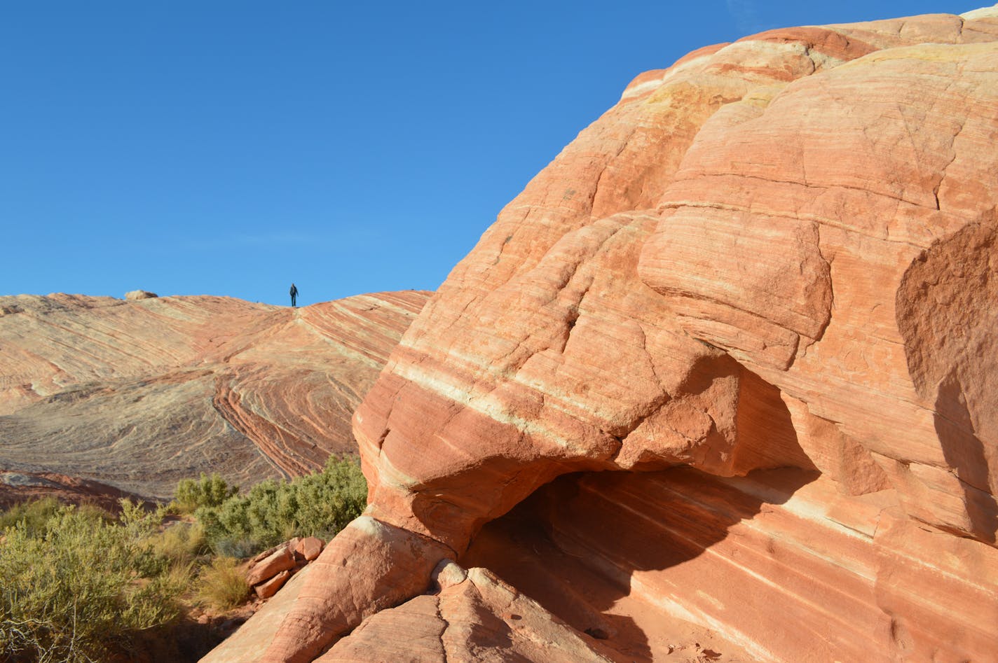 Just an hour northeast of Las Vegas, Valley of Fire state park offers gaze-grabbing vistas, peeks at wildlife and the opportunity to get lost. Photo by Amelia Rayno * amelia.rayno@startribune.com