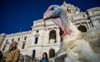 Walz shows off Minnesota's Thanksgiving turkey