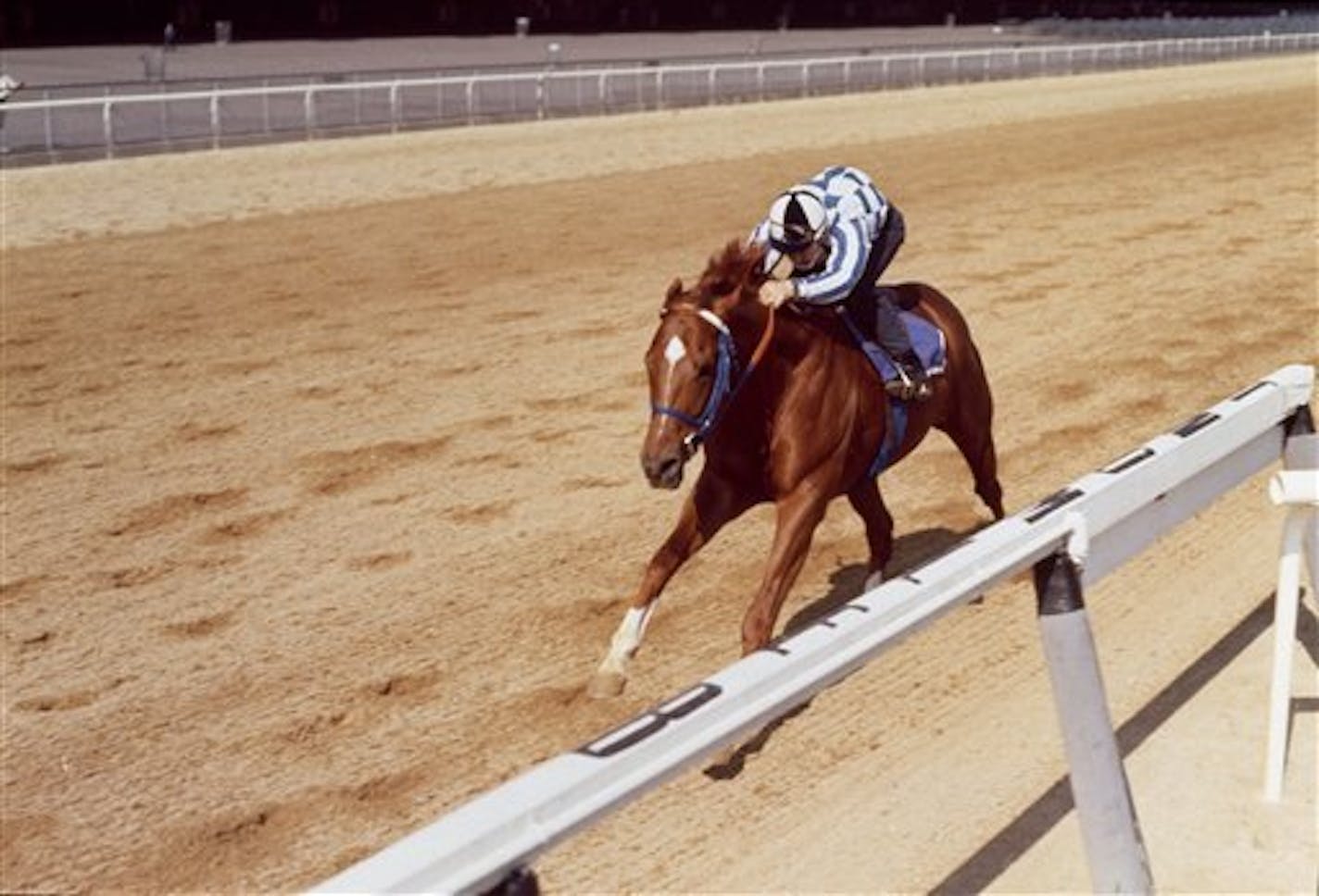 Secretariat won the 1973 Triple Crown