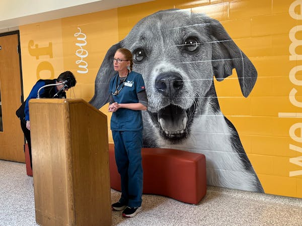 Sara Lewis, the Animal Humane Society’s managing shelter veterinarian, addressed questions on April 6 about the suspected virus outbreak at the Twin