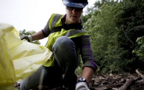 Mollie Thiet continues stuffing her trash bag with styrofoam remains along the Mississippi River during her volunteer time with the Minnesota Departme