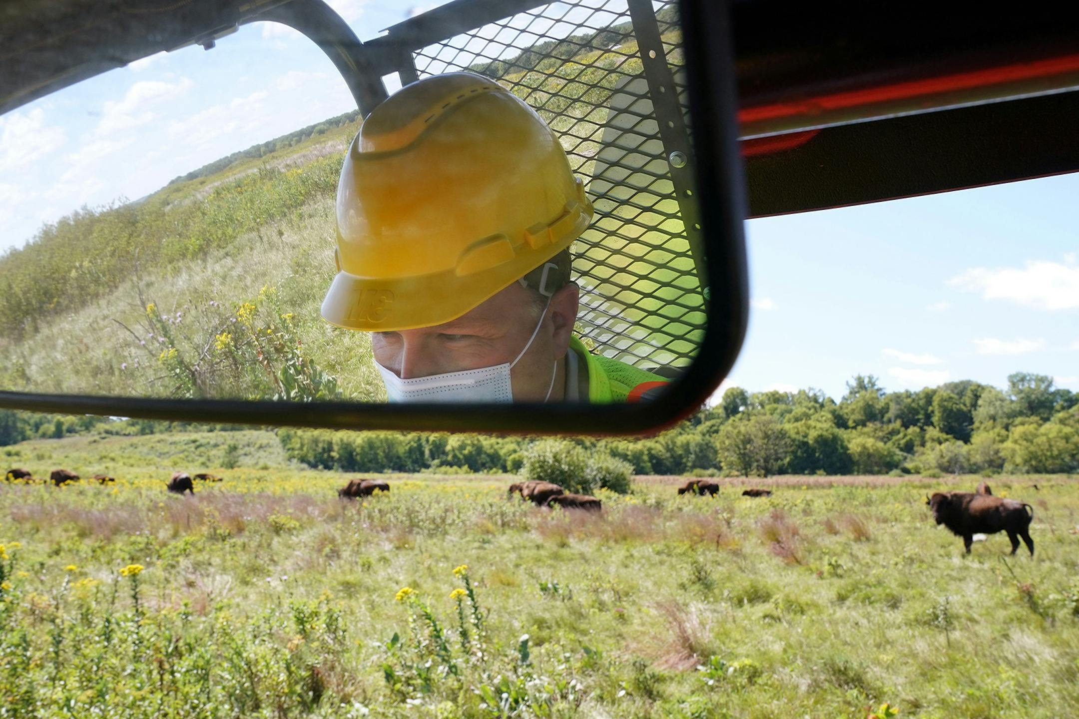 Minneopa State Park manager Craig Beckman looked out at the park's herd of bison as they grazed on the prairie grasses Thursday in Mankato.