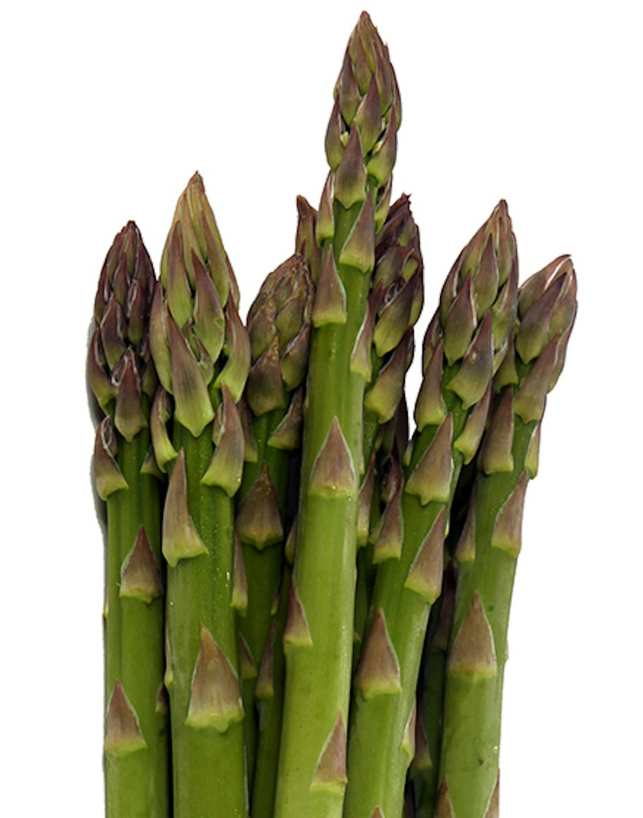 Asparagus ORG XMIT: MIN2013032613505841