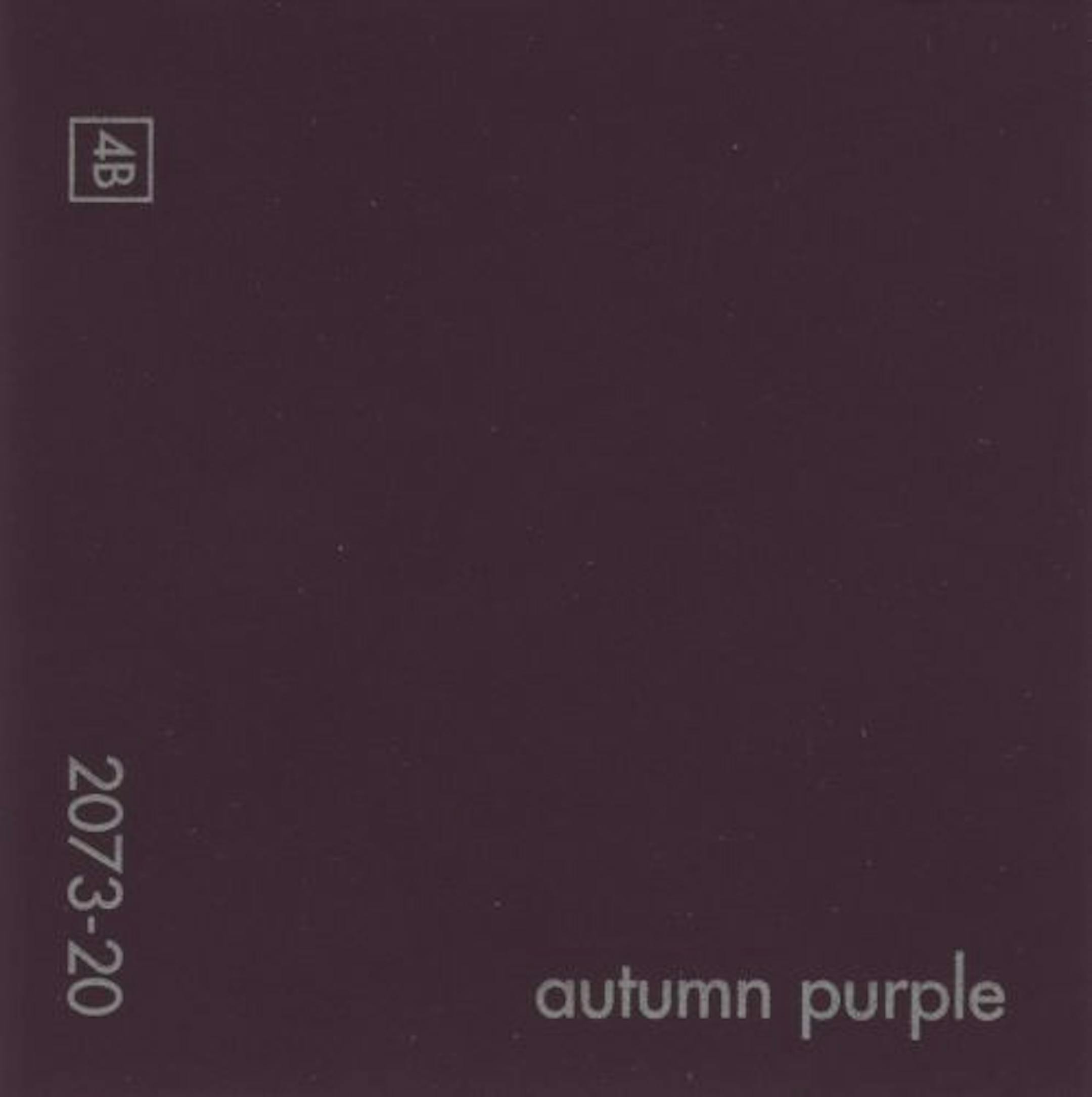 Autumn purple