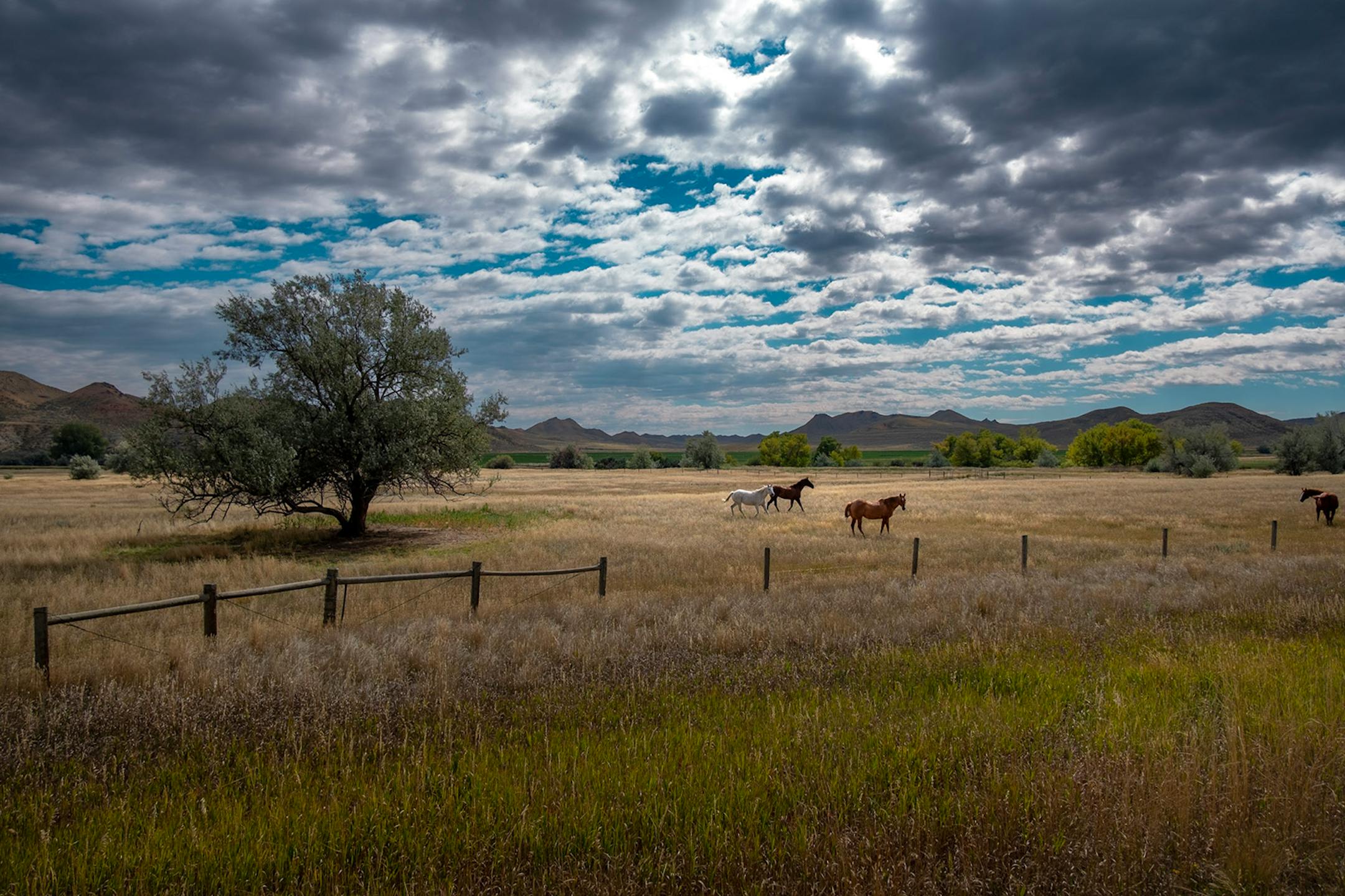 A detour to Ucross delivers big sky beauty. (Benjamin Myers/TNS)