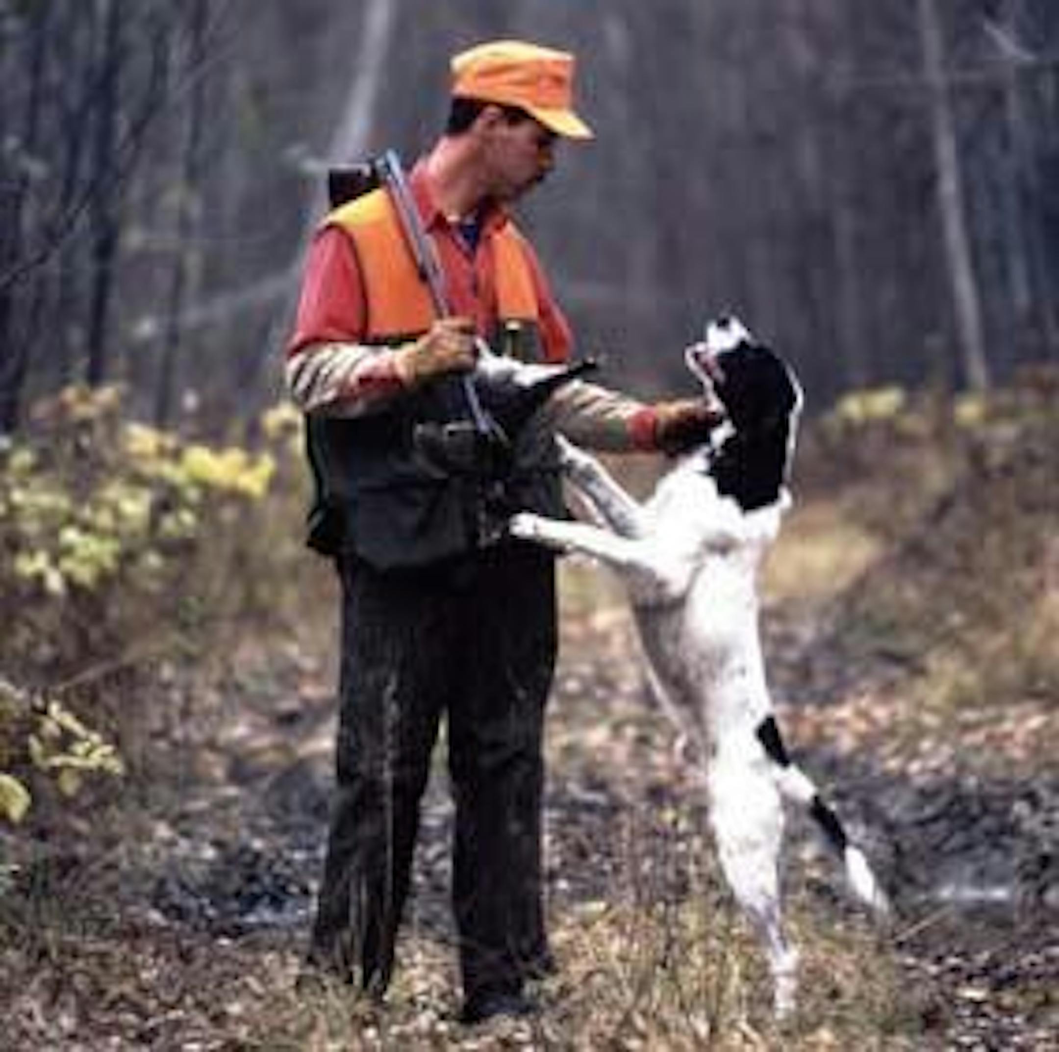 Grouse hunting with Spring Garden Tollway