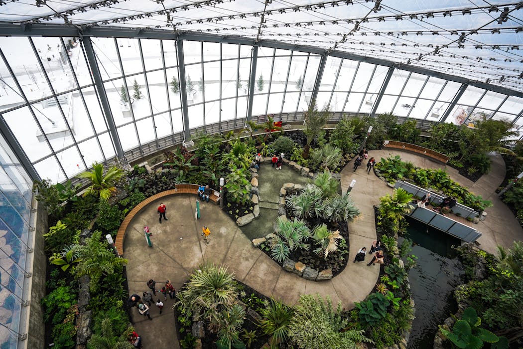 Visitors stroll through the tropical biome at the Leaf in Winnipeg.