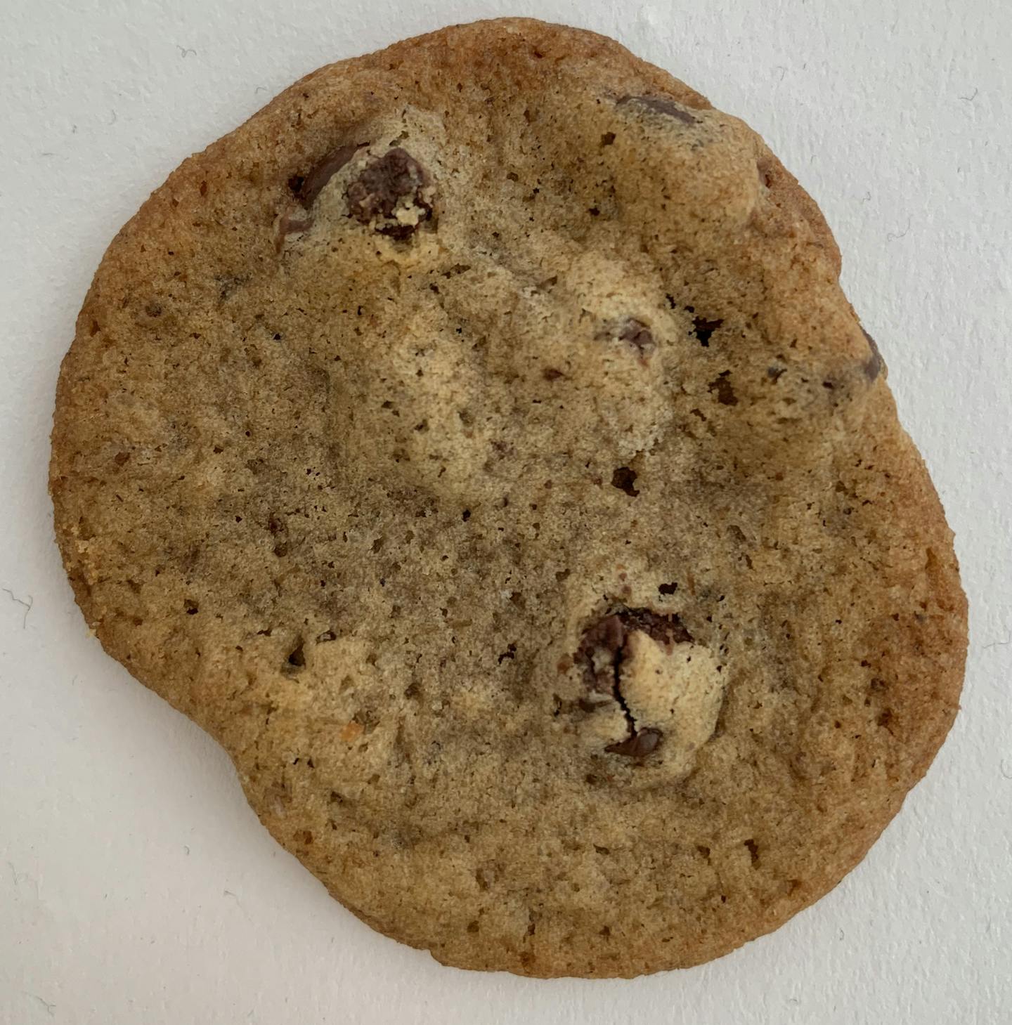 Chocolate-Chip Cricket Cookies
Star Tribune photo