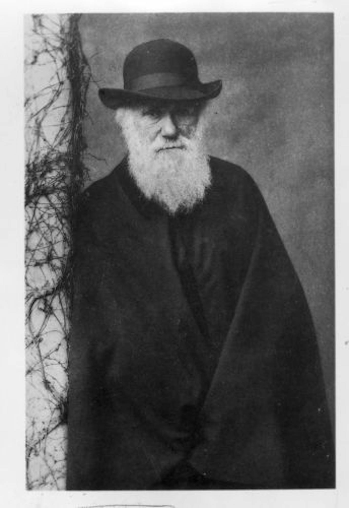 Charles Darwin