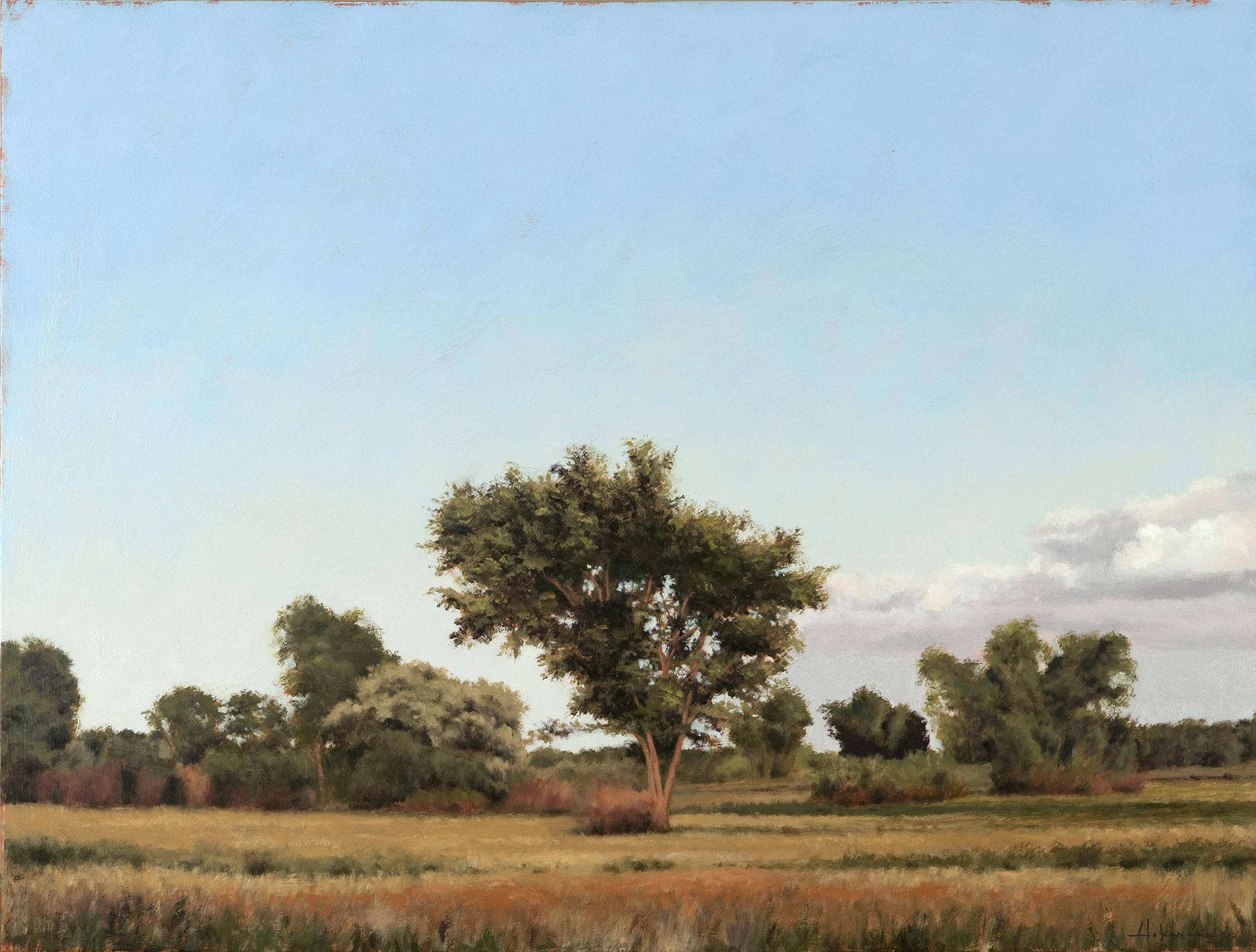 "Evening Tree" by Larry Hofmann