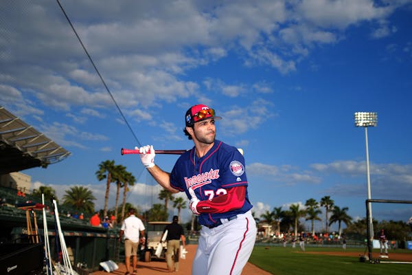 Twins outfield prospect Ryan LaMarre's see ball, hit ball approach has been successful in spring training thus far. He's 9-for-18 and leads the team i