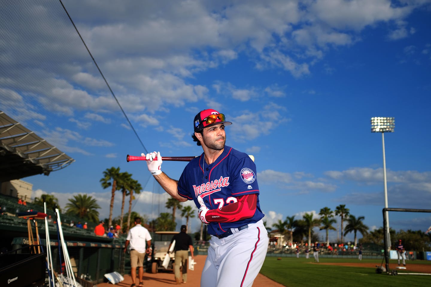 Twins outfield prospect Ryan LaMarre's see ball, hit ball approach has been successful in spring training thus far. He's 9-for-18 and leads the team in homers (two) and RBI (eight).