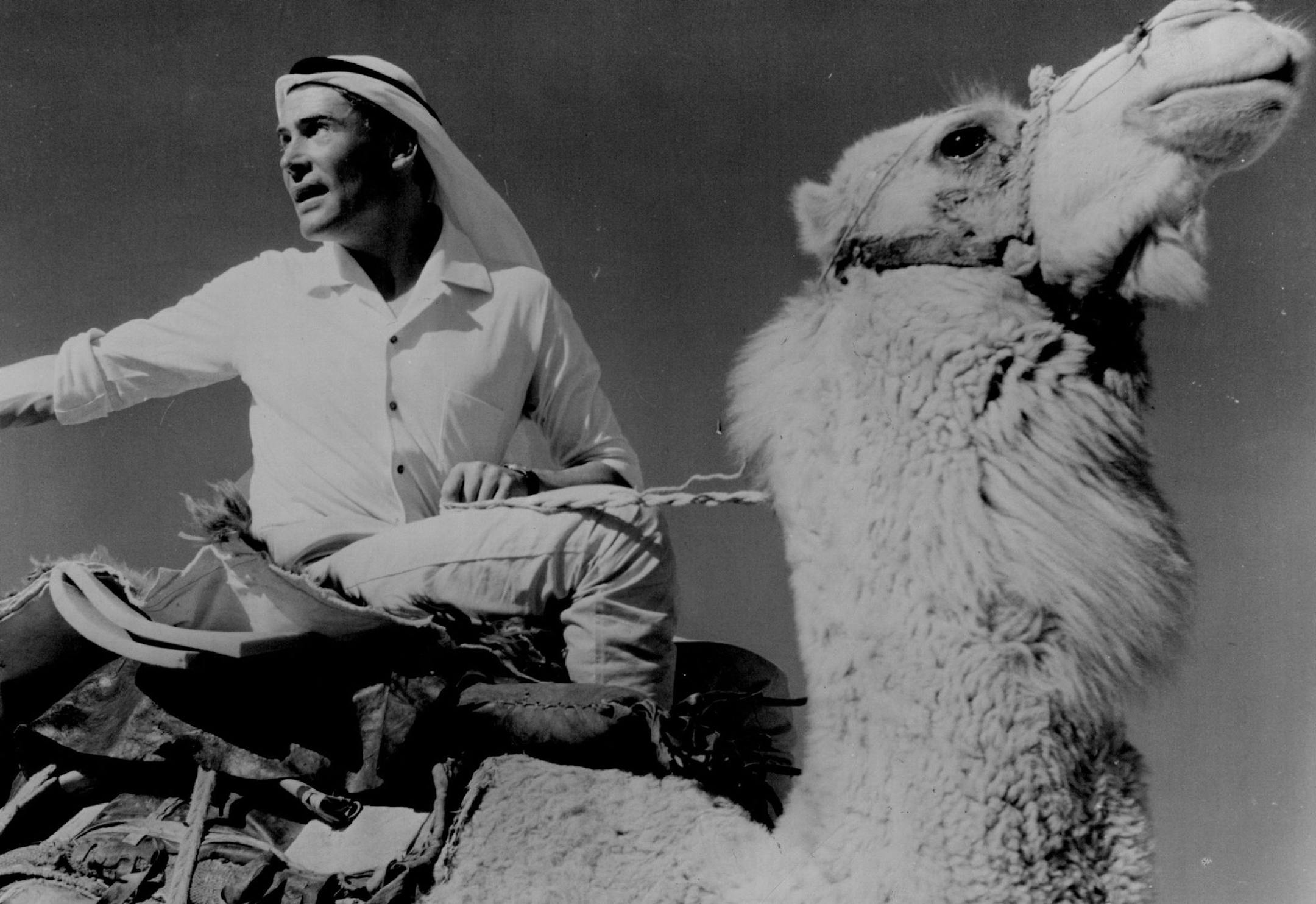 April 18, 1963 Peter O'Toole and desert buddy In "Lawrence of Arabia" August 5, 1964