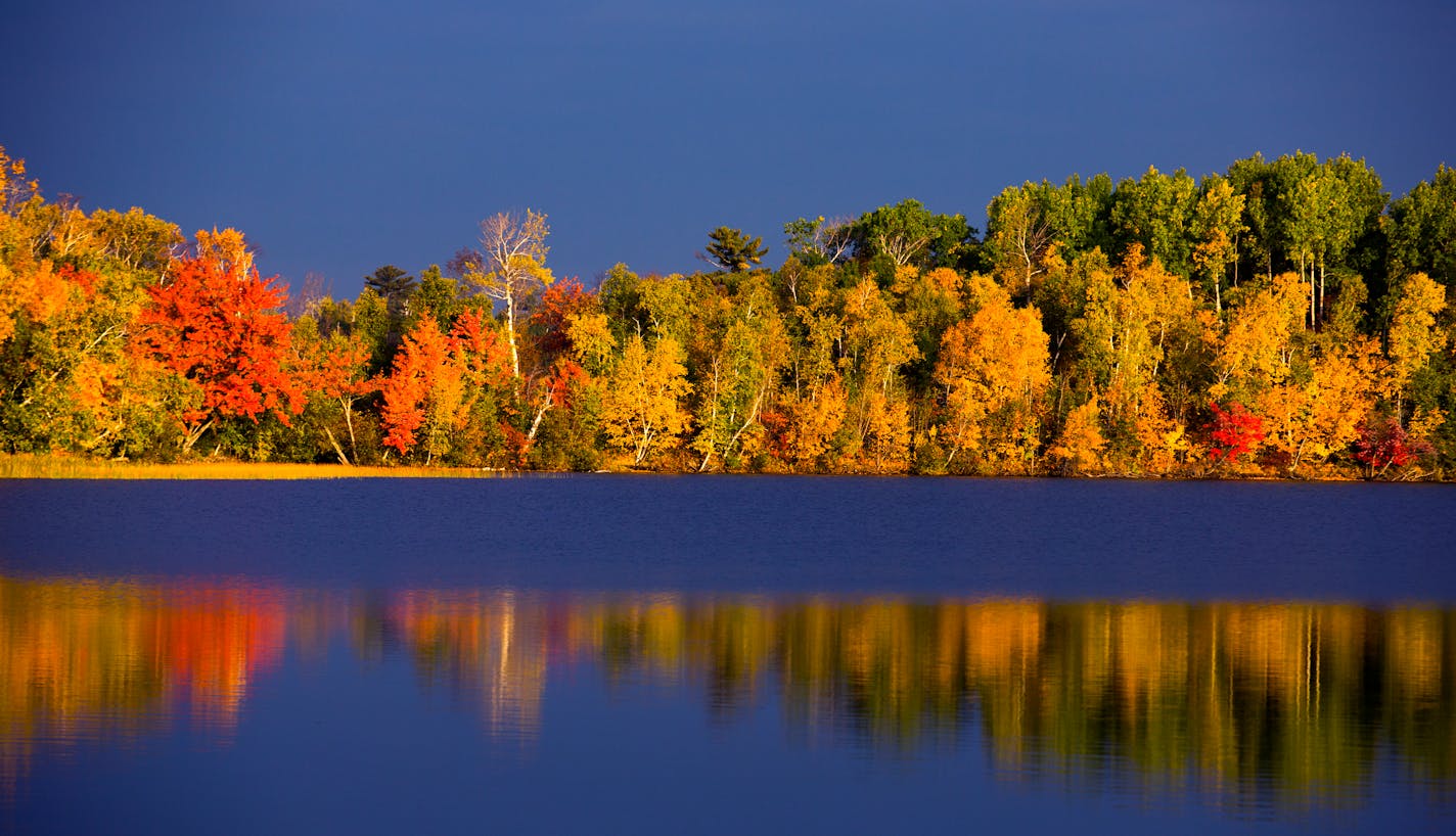 Early morning is one of the best times to photograph fall color, here, the mix of reds, yellow and green reflect off the lake north of Duluth.