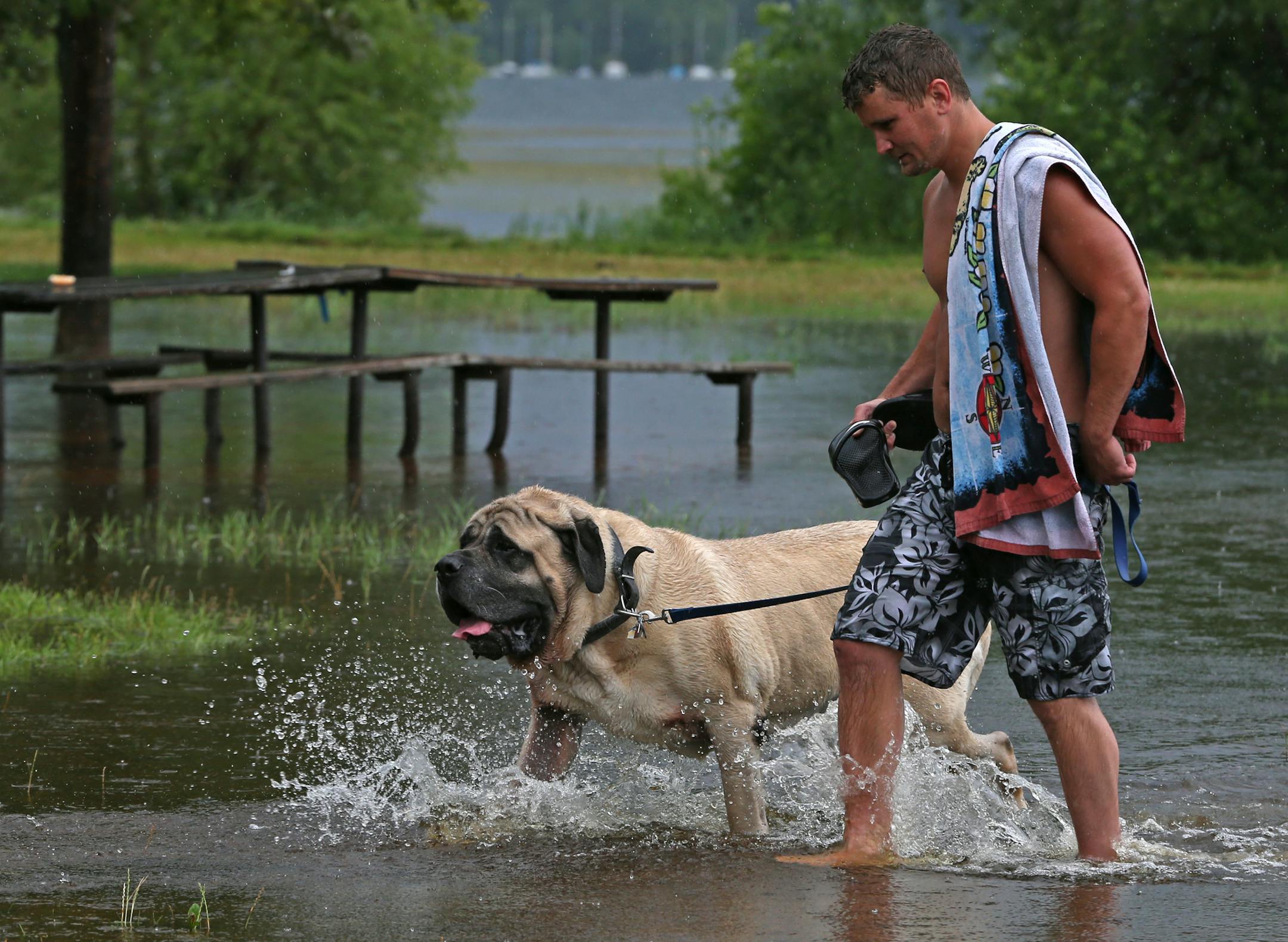 Jeff Eagon of Blaine and his dog Zeus walked through flooded areas of Lake Calhoun after another heavy rain hit the Metro area on 7/12/14.] Bruce Bisping/Star Tribune bbisping@startribune.com Jeff Eagon, Zeus/source.