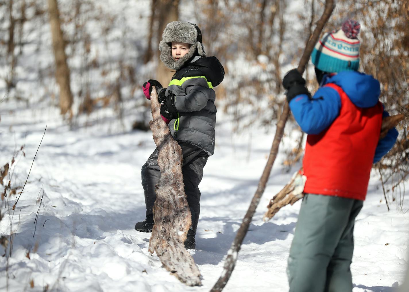 Some boys taking part at a Free Forest School gathering Jan. 17 at Minnesota Valley National Wildlife Refuge found some materials with which to work. DAVID JOLES • david.joles@startribune.com Free Forest School of Minnesota is bucking institution preK learning, and emphasizes free plays for children outdoors. FFS has a growing following nationwide, but its epicenter is in Minneapolis.