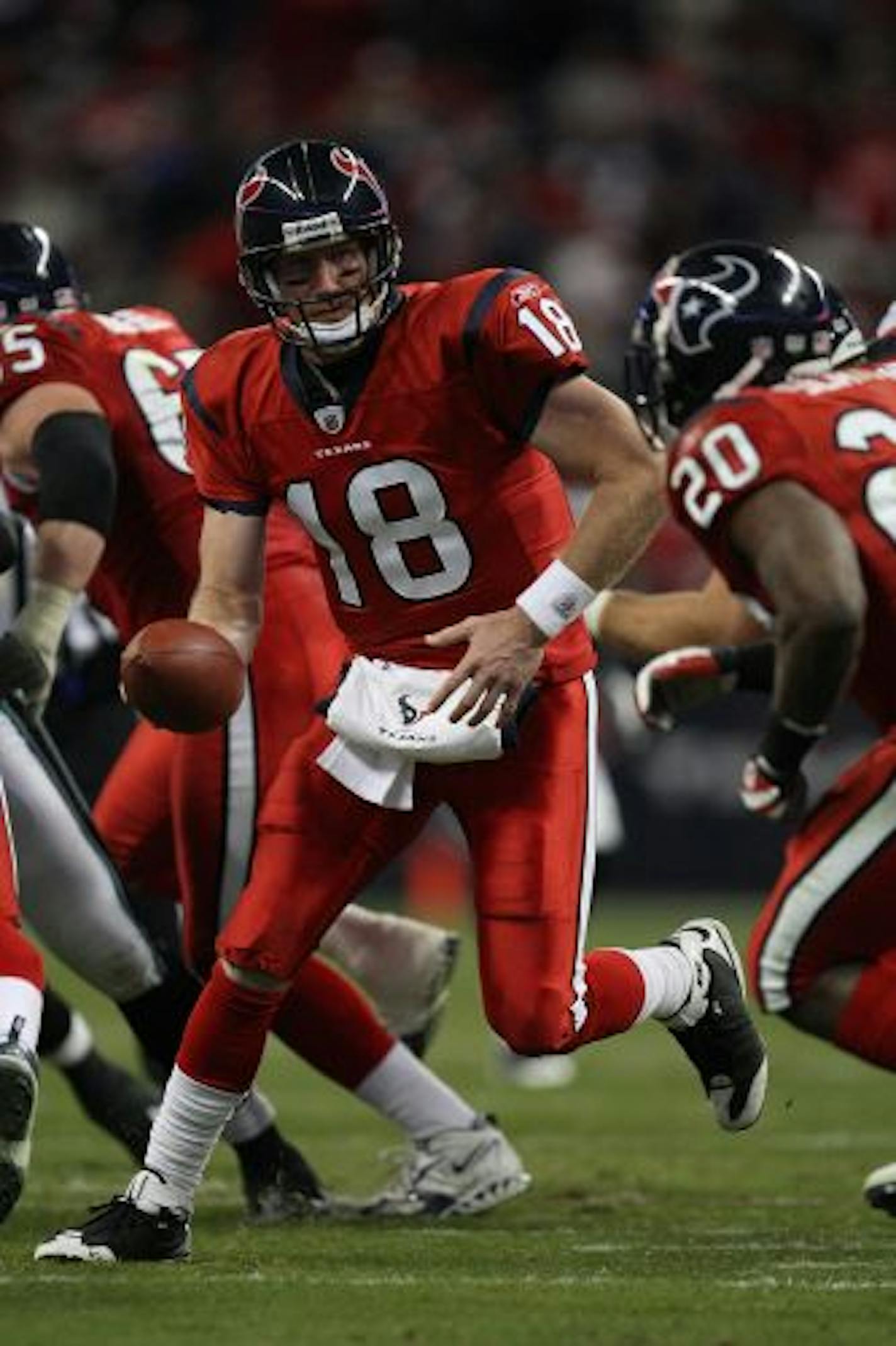 HOUSTON - DECEMBER 01: Quarterback Sage Rosenfels #18 of the Houston Texans during play against the Jacksonville Jaguars at Reliant Stadium on December 1, 2008 in Houston, Texas.