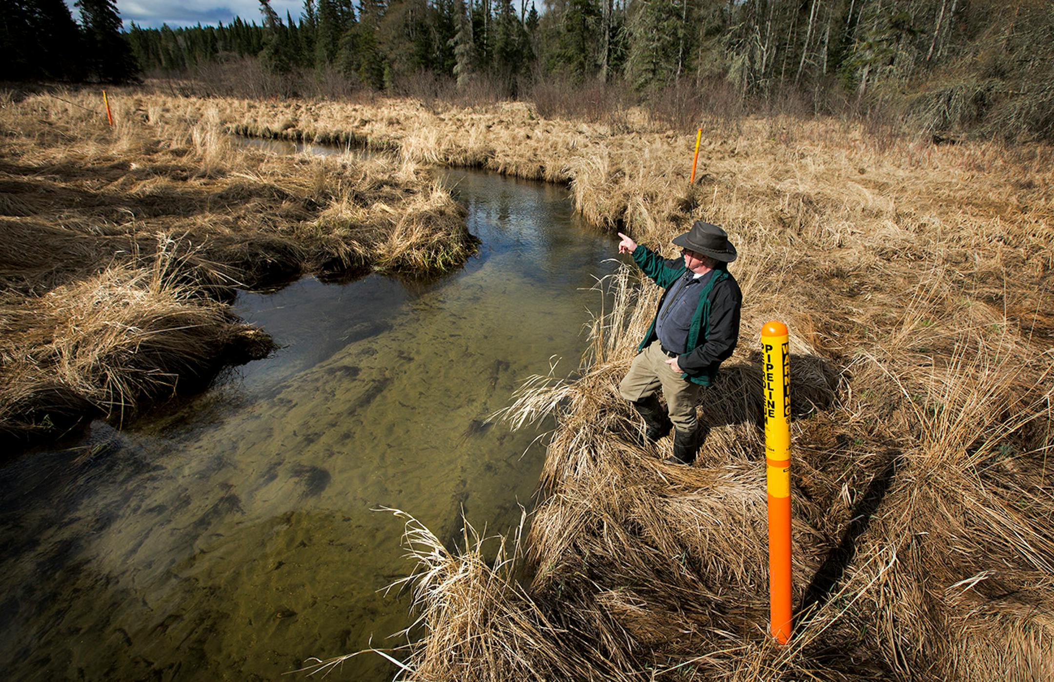 As Enbridge Energy plans another crude oil pipeline through northern Minnesota bog lands, state environmental officials are worried about the risk of another spill in sensitive natural areas, including some that are inaccessible by road. Here, former DNR scientist Paul Stolen shows some of the sensitive wetland areas along La Salle creek north of Itasca State Park. ] BRIAN PETERSON • brian.peterson@startribune.com LaSalle Lake, MN 5/12/2014