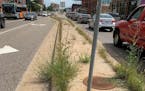 Weeds grow in the center median along Washington Avenue near 10th Avenue S. in Minneapolis.