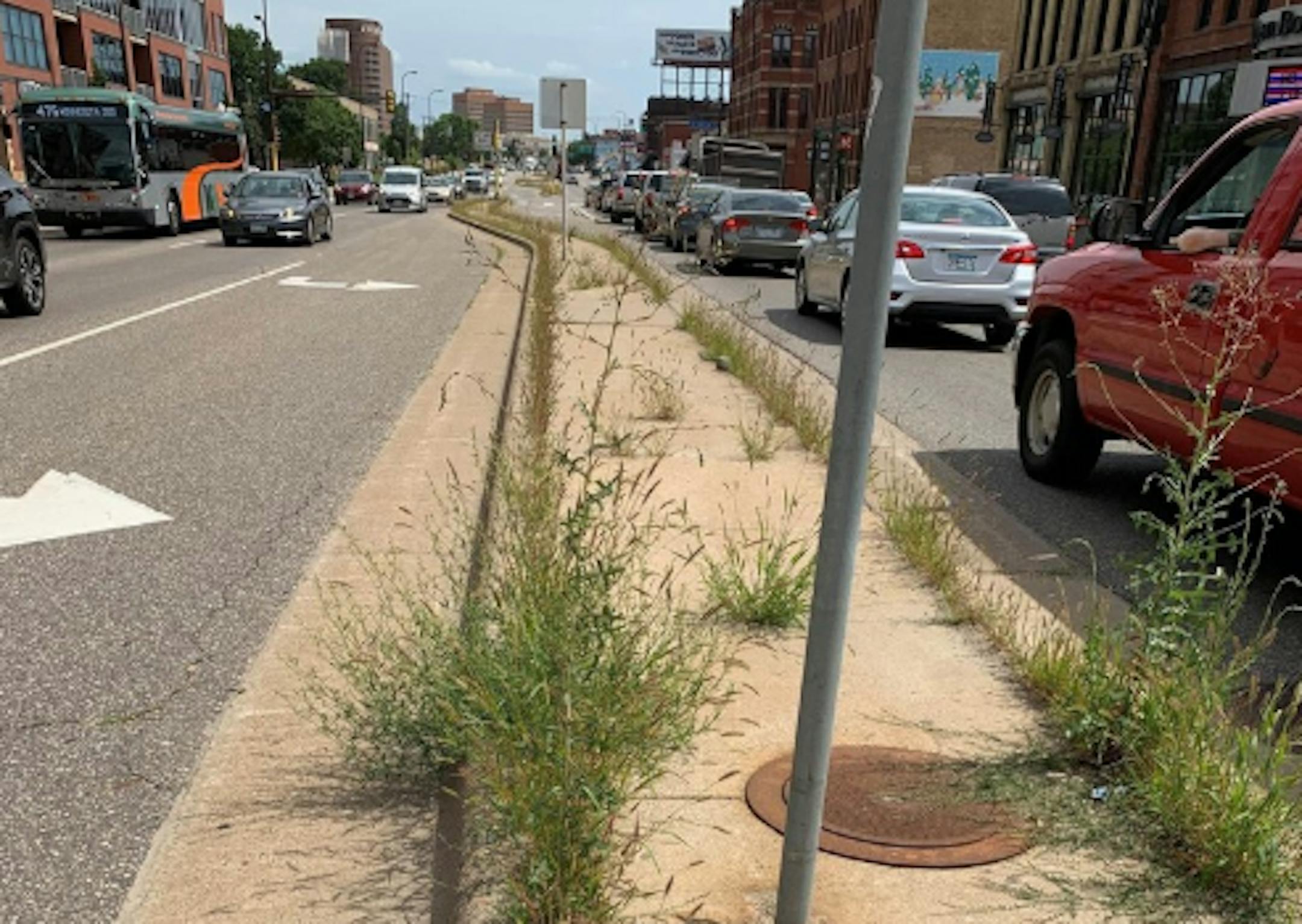 Weeds grow in the center median along Washington Avenue near 10th Avenue S. in Minneapolis.