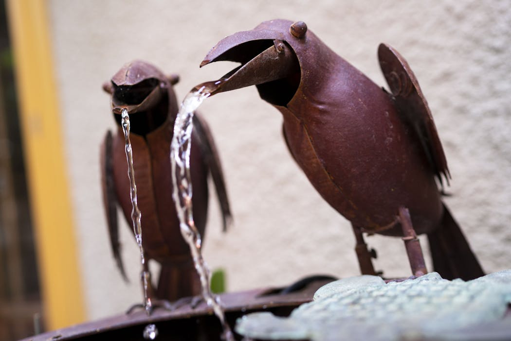 The fountains in Lyndel King's backyard include a theatrically animated pair of sculpted crows.