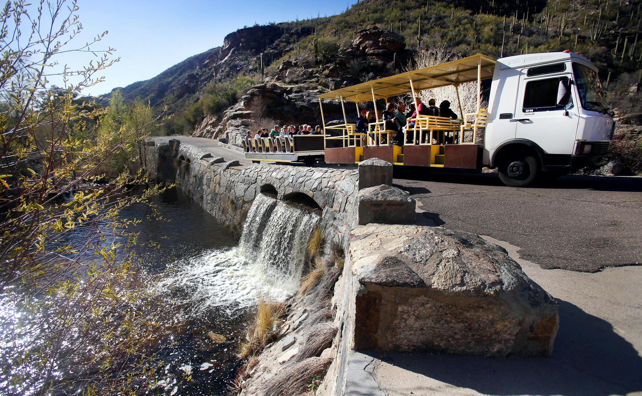 The Sabino Canyon tram crosses over one of the dams fresh with February snow and rain runoff in Sabino Creek, located in northeast of Tucson.