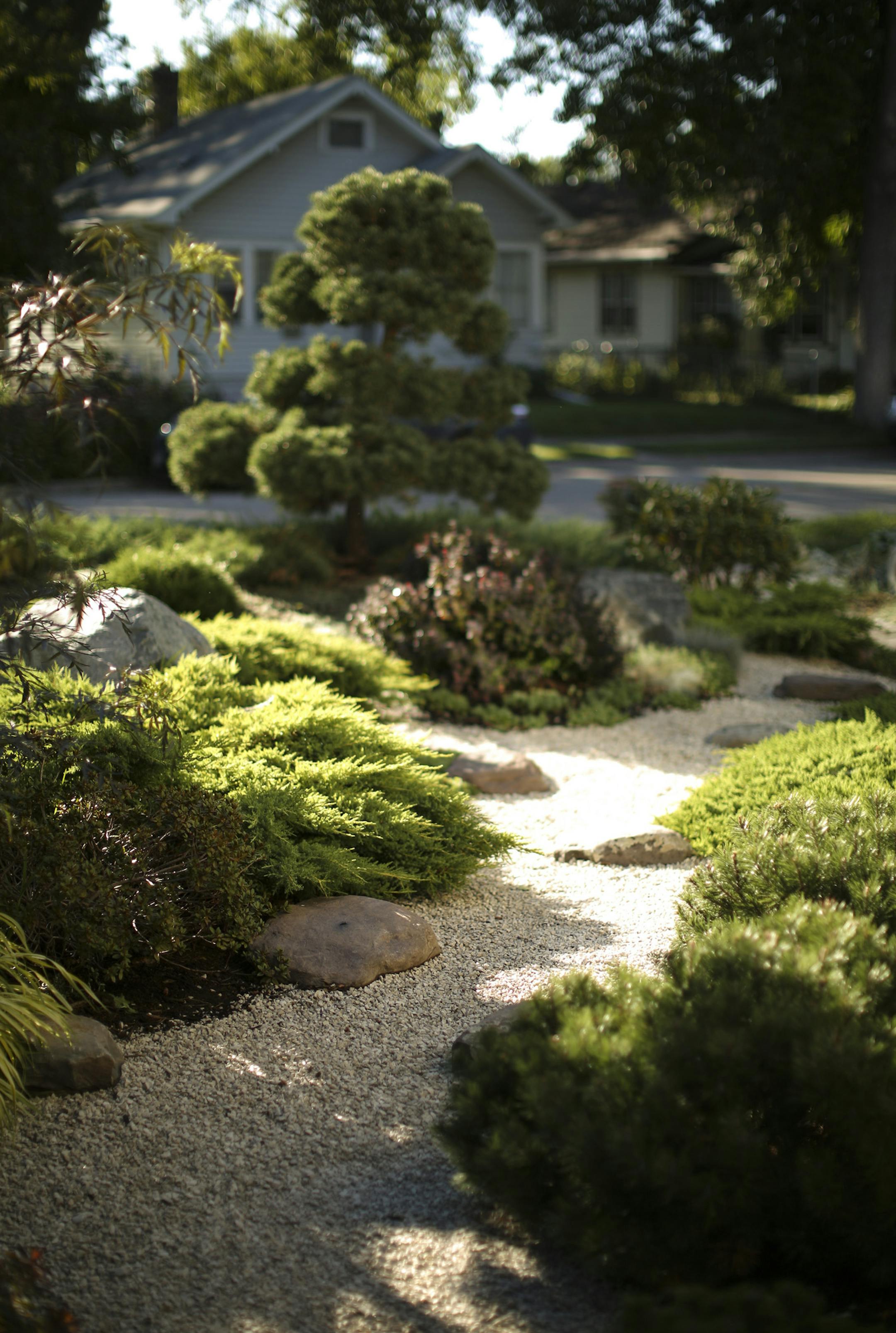 The couple spent months searching for just the right shade of white for the stones in the path that forms the centerpiece of their Japanese garden.