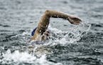 Female marathon swimmer in action. Photo taken from trailing boat. High speed action shot, focus on swimmer, shallow depth of field