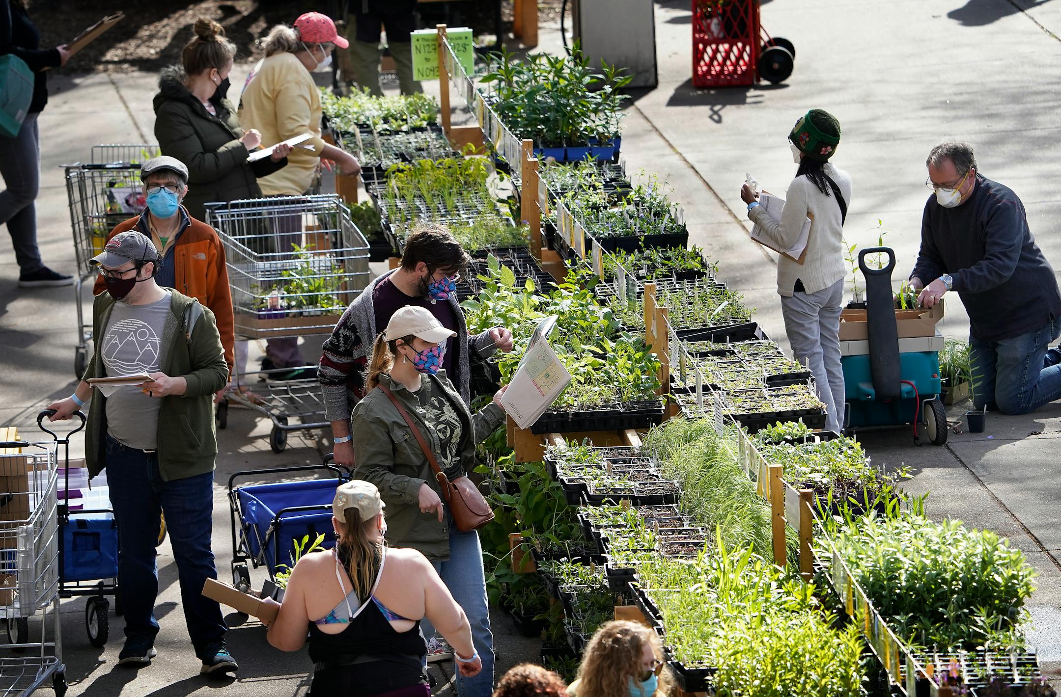 Gardeners flock to the Friends School of Minnesota fundraiser plant sale.