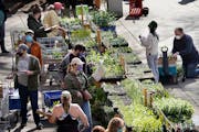 Gardeners flock to the Friends School of Minnesota fundraiser plant sale.