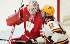 Gophers forward Grace Zumwinkle (12) tracked the puck in front of Wisconsin Badgers goaltender Kristen Campbell (35) last year at Ridder Arena.