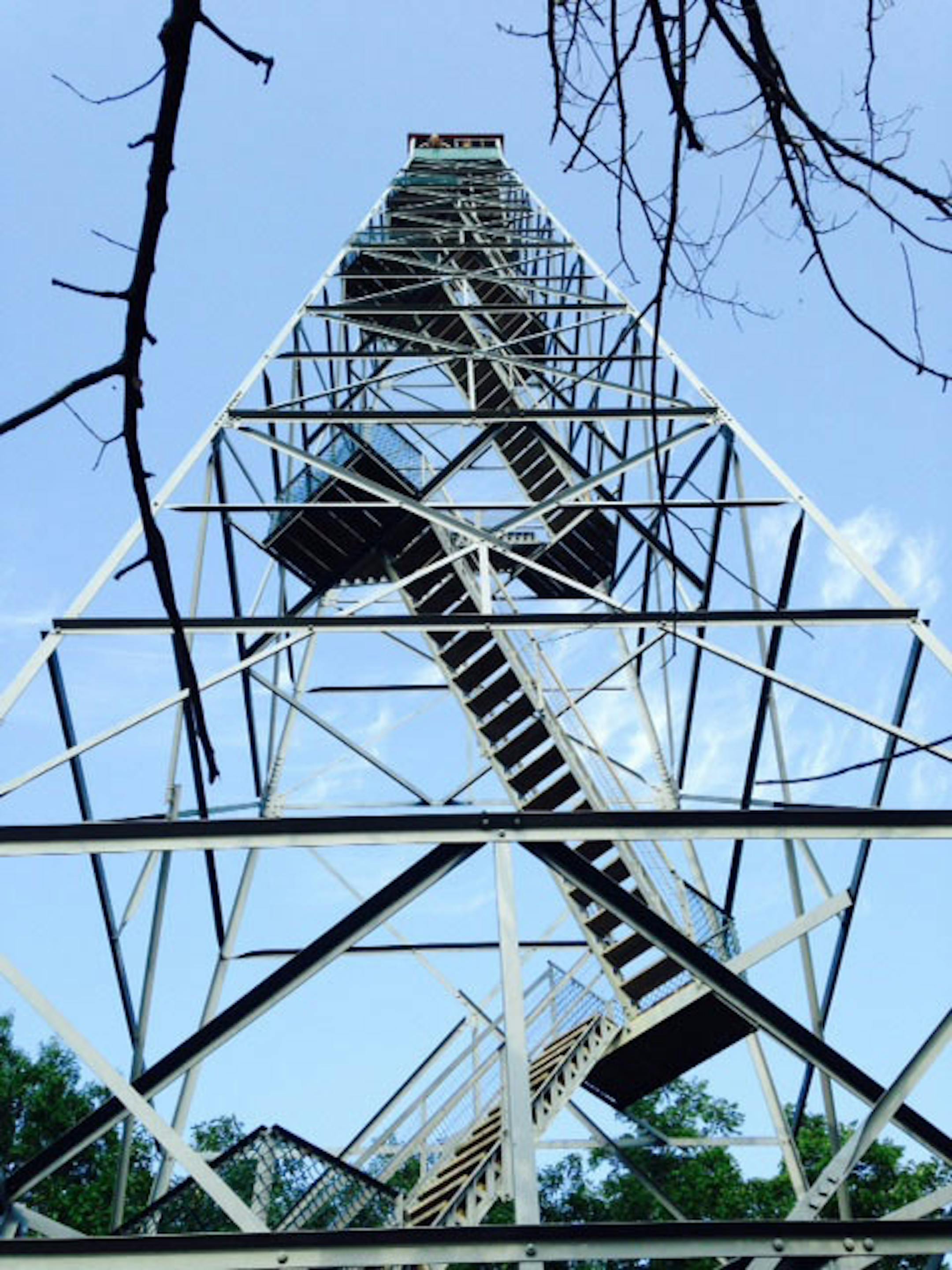The Elba Fire Tower, just north of Whitewater State Park, is one of 10 National Historic Lookouts in Minnesota, and by far the southernmost. It's open for climbing April through October. There are 135 steps to the top of the tower. But just getting to the base of the tower requires ascending 637 steps cut into the bluffside. (Photo by Bill McAuliffe, special to the Star Tribune)