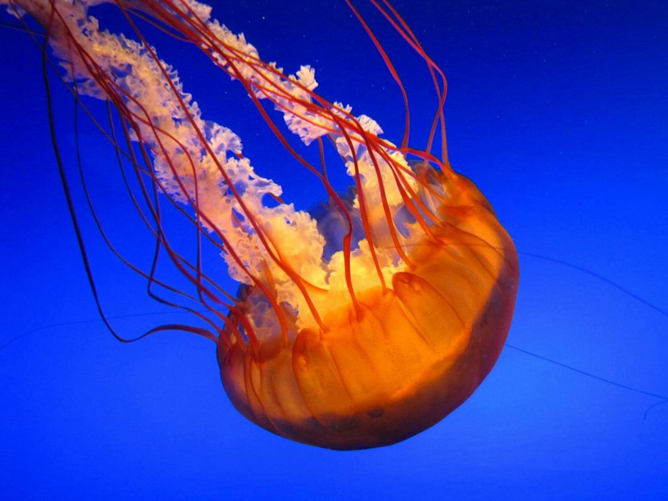 Omaha's Desert Dome at the Henry Doorly Zoo offers warm escape with arid skylit canyons and even an underground nocturnal swamp.
