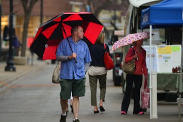 The umbrellas began to sprout as a steady rain began to fall on the farmers market in downtown Excelsior on Water St.