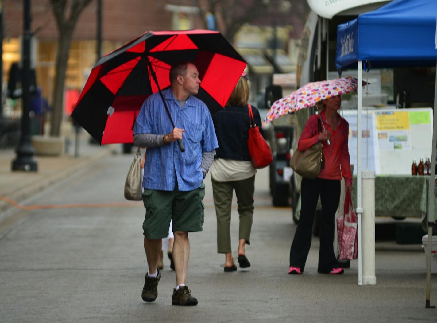 The umbrellas began to sprout as a steady rain began to fall on the farmers market in downtown Excelsior on Water St.